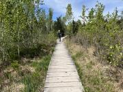 At the halfway point, there is a relatively long stretch along a boardwalk.