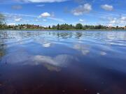 View over the lake.