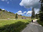 Kurz nach dem Abzweig in Richtung Kofelsteig.<br/><br/>Shortly after the junction in the direction of Kofelsteig.