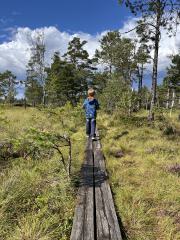 Kleine Runde im Store Mosse Nationalpark