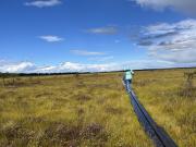 Wandern auf Holzplanken.