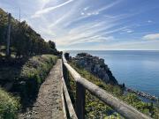 Auf einem Höhenpfad inmitten von Weinreben umrunden wir Manarola.
