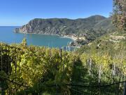 Ein Blick zurück auf dem Wanderweg zwischen Menterosso und Vernazza.