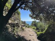 Kurze Ruhepause im Schatten.