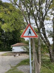 Achtung: Personen mit Gehstock und langen Haaren können sich in diesem Bereich aufhalten oder die Fahrbahn überqueren.