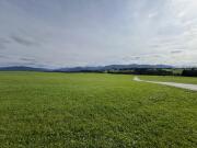 Herrlicher Blick über Wiesen und Weiden.