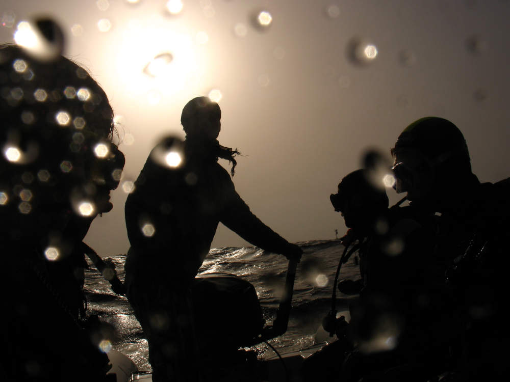 My scuba dives